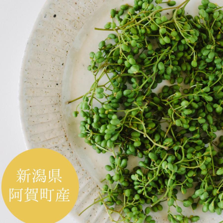 山椒の実 新潟県阿賀町産 100g 【冷凍】処理済み 軸・枝付き : 新潟