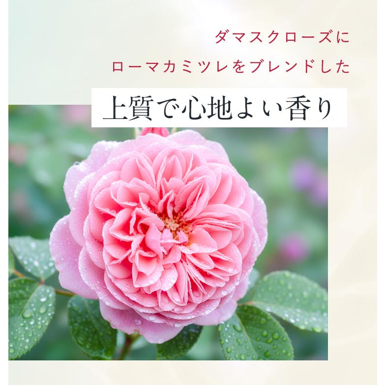 Attenir（アテニア） 【新発売】 公式 ドレススノー デイ