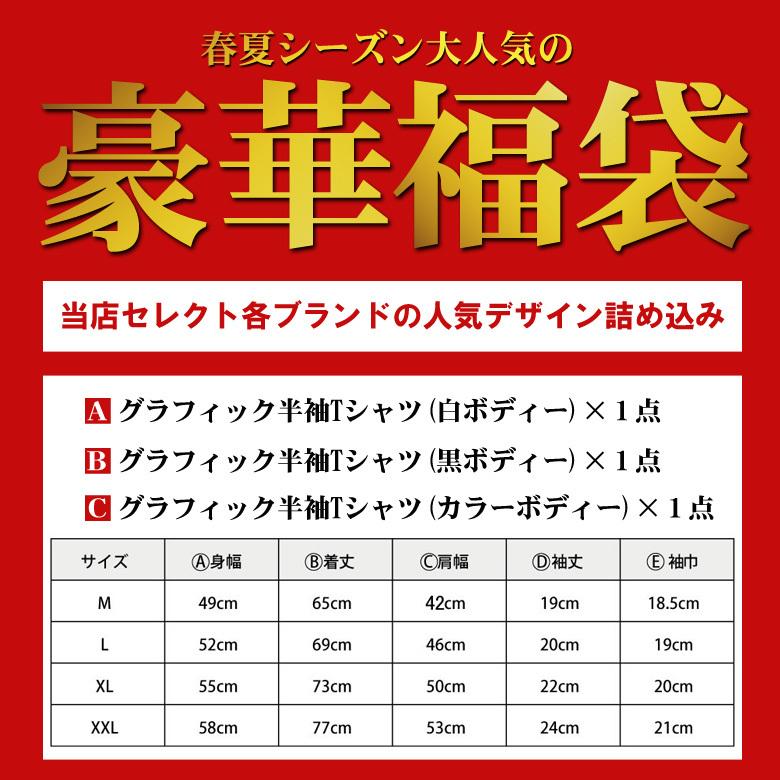 セール品 福袋 メンズ Tシャツ ティーシャツ ブランド Tee 半袖 大きいサイズ ゆったり 2l 3l アメカジ カジュアル ストリート ファッション おしゃれ かっこいい Aynaelda Com