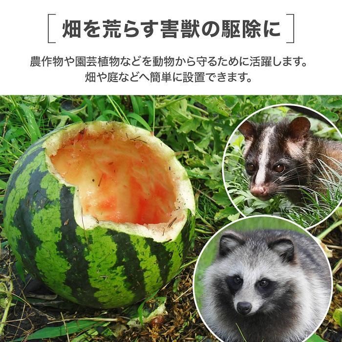 年間1位 捕獲器 猫 踏板式 動物 捕獲 アニマルトラップ ネコ トラップ 箱罠 イタチ 駆除 捕獲機 小動物 罠 保護 アニマルキャッチャー 箱わな アライグマ 迷子猫 | ブランド登録なし | 06