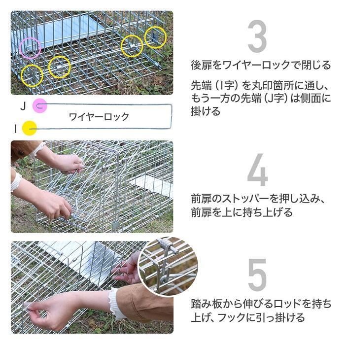 年間1位 捕獲器 猫 踏板式 動物 捕獲 アニマルトラップ ネコ トラップ 箱罠 イタチ 駆除 捕獲機 小動物 罠 保護 アニマルキャッチャー 箱わな アライグマ 迷子猫 | ブランド登録なし | 11