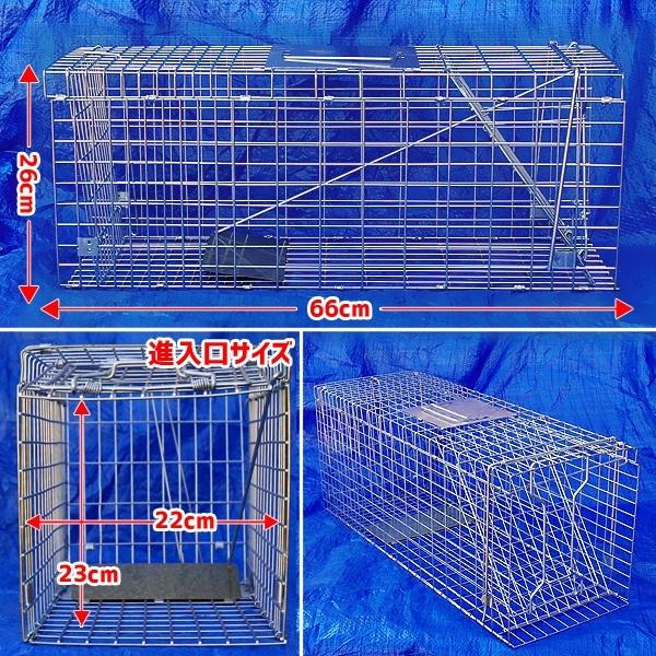 捕獲器 箱罠 イタチ 捕獲 踏み板式 猫 ネコ 畑 餌 アニマルキャッチャー アニマルトラップ 動物 駆除 ペット 捕獲網 小動物 退治 捕獲機 :000000100527:attention - 通販 - Yahoo!ショッピング 捕獲器 箱罠 イタチ 捕獲 踏み板式 猫 ネコ 畑 餌 アニマルキャッチャー アニマルトラップ 動物 駆除 ペット 捕獲網 小動物 退治 捕獲機 :000000100527:attention - 通販 - Yahoo!ショッピング