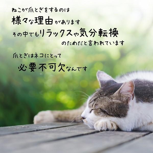猫 爪とぎ 壁 麻 保護 Diy コーナー用 スリム 防止 ひっかき ネコ バリバリ おしゃれ ペット 長持ち つめとぎ おもちゃ ストレス解消 2ko Attention 通販 Yahoo ショッピング