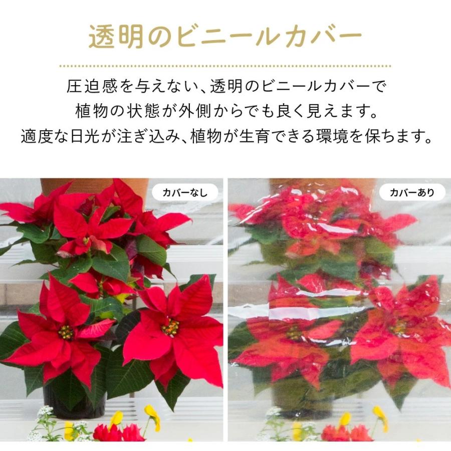 ビニールハウス 家庭用 小型 2段 巻き上げ式 温室棚 おしゃれ 家庭菜園