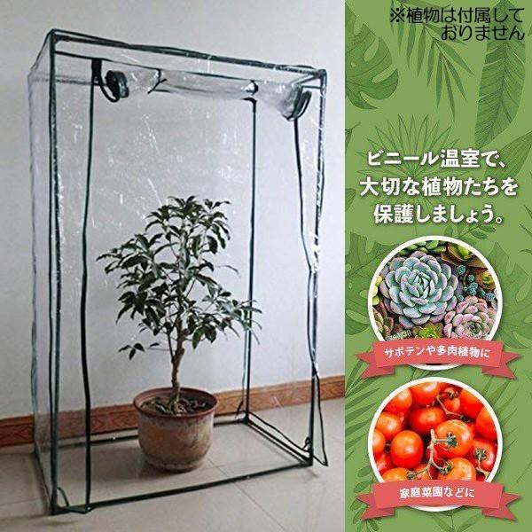 温室 家庭用 温室ハウス 観葉植物 ビニールハウス パイプ ビニール温室 おしゃれ Diy ビニール 小型 ガーデンハウス 簡易 農業 ベランダ 温室棚 Copy Attention 通販 Yahoo ショッピング