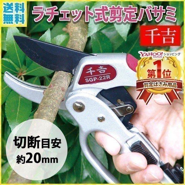 剪定ばさみ ラチェット 千吉 アルミ ラチェット式剪定ばさみ 軽量 造園 盆栽 植木 枝 ガーデニング ハサミ 庭木 剪定鋏 小型 手入れ 庭 家庭菜園 :000000125158:attention - 通販 - Yahoo!ショッピング 剪定ばさみ ラチェット 千吉 アルミ ラチェット式剪定ばさみ 軽量 造園 盆栽 植木 枝 ガーデニング ハサミ 庭木 剪定鋏 小型 手入れ 庭 家庭菜園 :000000125158:attention - 通販 - Yahoo!ショッピング