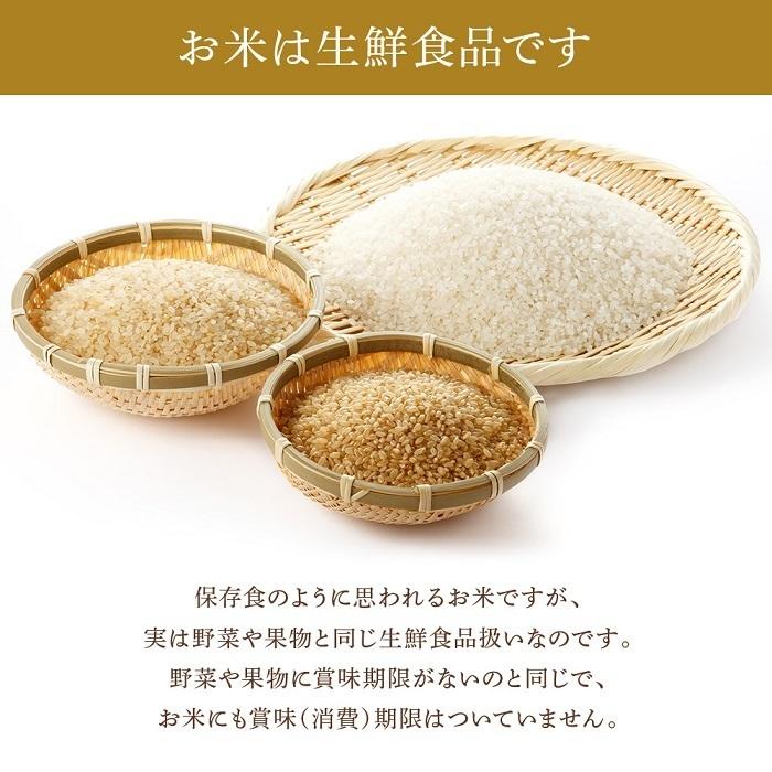 エムケー精工 精米機 家庭用 小型 0.5合 〜 2合 20段階精米
