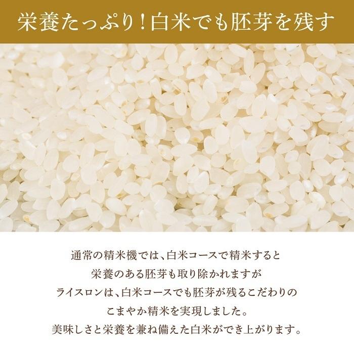 エムケー精工 精米機 家庭用 小型 0.5合 〜 2合 20段階精米 コンパクト