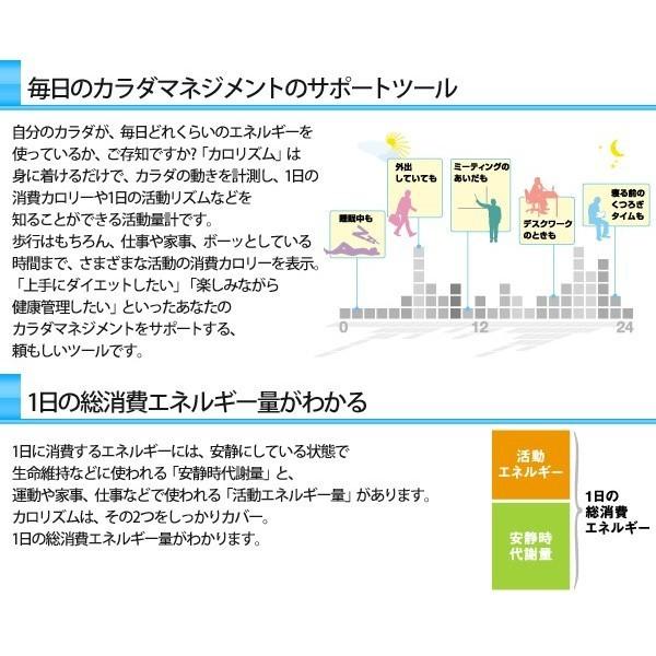 活動量計 タニタ カロリズム Basic 7日間メモリ Am 100 Rd Am 100 Sv 歩数計 健康管理 運動 消費エネルギー 歩数計 送料無料 A000000118419 Attention 通販 Yahoo ショッピング
