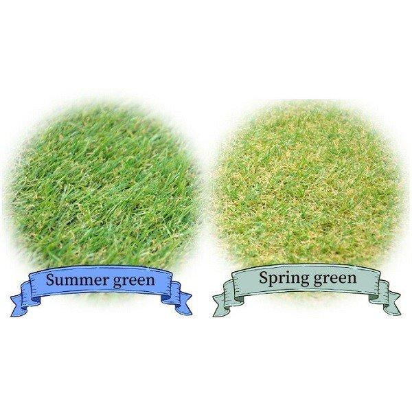 人工芝 ロール 庭 1 2m 1 5m 1 10m Diy U字ピン 幅 1m マット 芝生 ベランダ リアル人工芝 バルコニー 人工芝生 A Attention 通販 Yahoo ショッピング