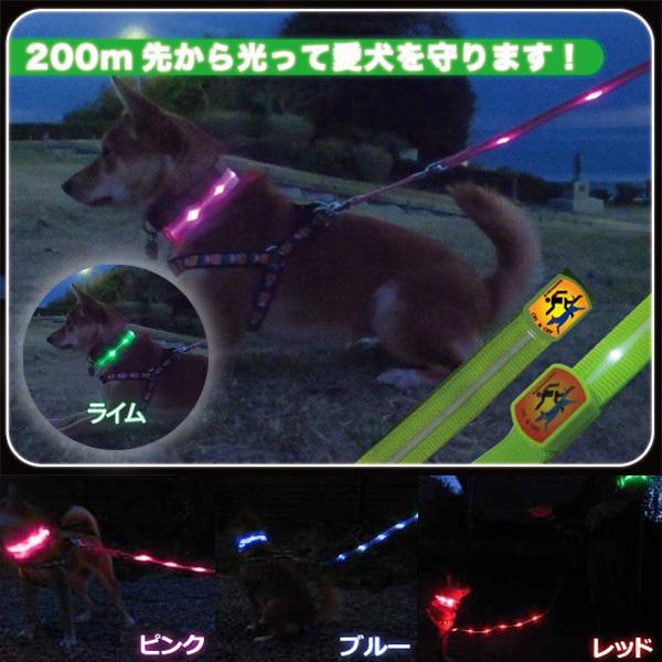 首輪 犬 光る おしゃれ 散歩 ペット 夜 ライト Led グッズ いぬ 猫 防犯 安全 脱走 事故防止 迷子 反射 カラー アームバンド キラキラバンド A Attention 通販 Yahoo ショッピング