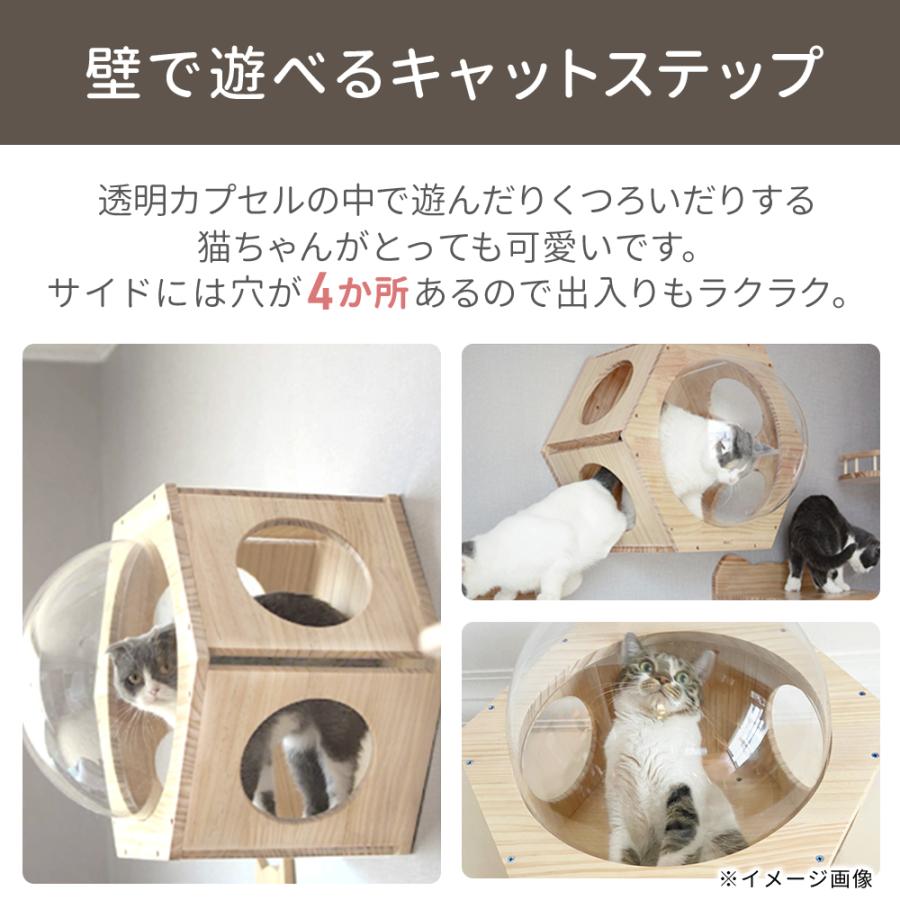 キャットステップ 壁 壁付け 猫用 ハウス ハンモック キャットウォーク
