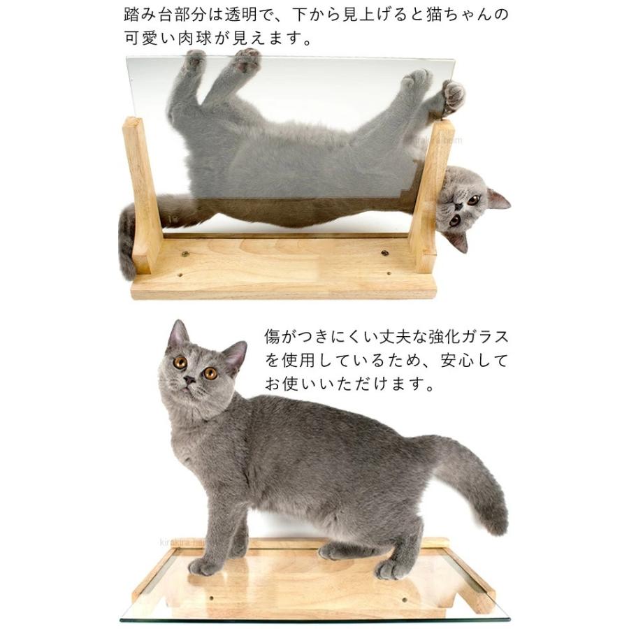 キャットステップ 壁付け 猫用 透明 クリア ガラス キャットウォーク 壁 手作り 猫 幅40cm 棚板 棚 キャットタワー キャットツリー Diy At 1244 Attention 通販 Yahoo ショッピング