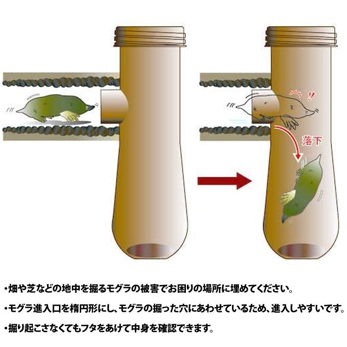モグラ撃退 日本製 2個セット モグラ駆除 捕獲器 動物捕獲器 モグラ撃退 日本製 2個セット モグラ駆除 捕獲器 動物捕獲器