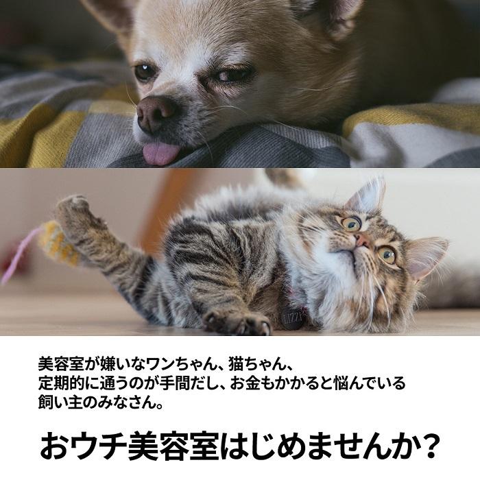 トリミング ハサミ トリミングシザー 右利き 犬 猫 ペット お
