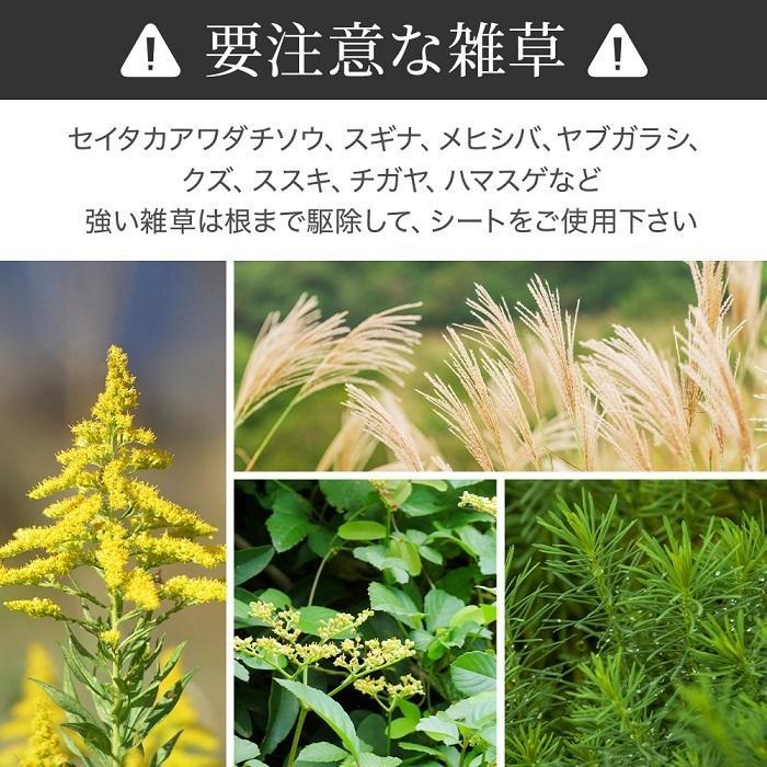 防草シート ピン 50cm 除草シート ピン付きあり 0.5m×100m UV剤入り