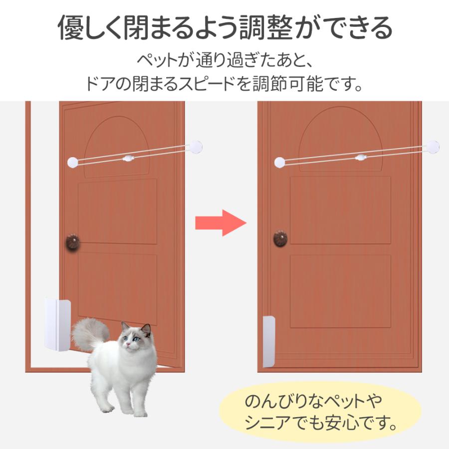 月間1位 ペットドア 工事不要 猫ドア キャットドア 猫 ドア 猫扉