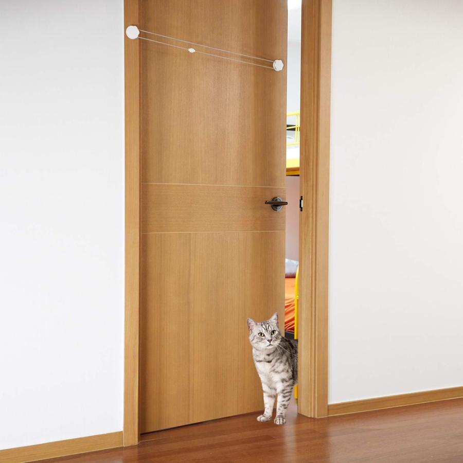 月間1位 ペットドア 工事不要 猫ドア キャットドア 猫 ドア 猫扉