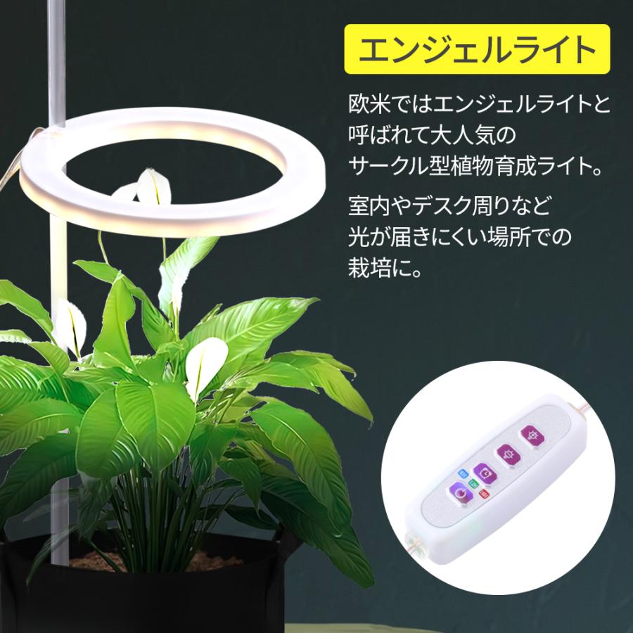 癒し植物ナイトライトグロウライト付き多肉植物の鉢 植物育成 LED USB