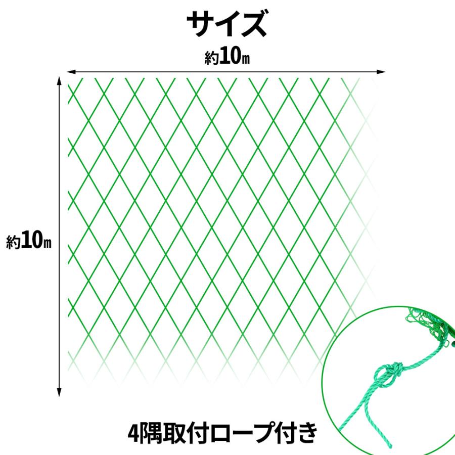 養生ネット グリーンネット 防球ネット 10m×10m 25mm目 養生ネット グリーンネット 防球ネット 10m×10m 25mm目