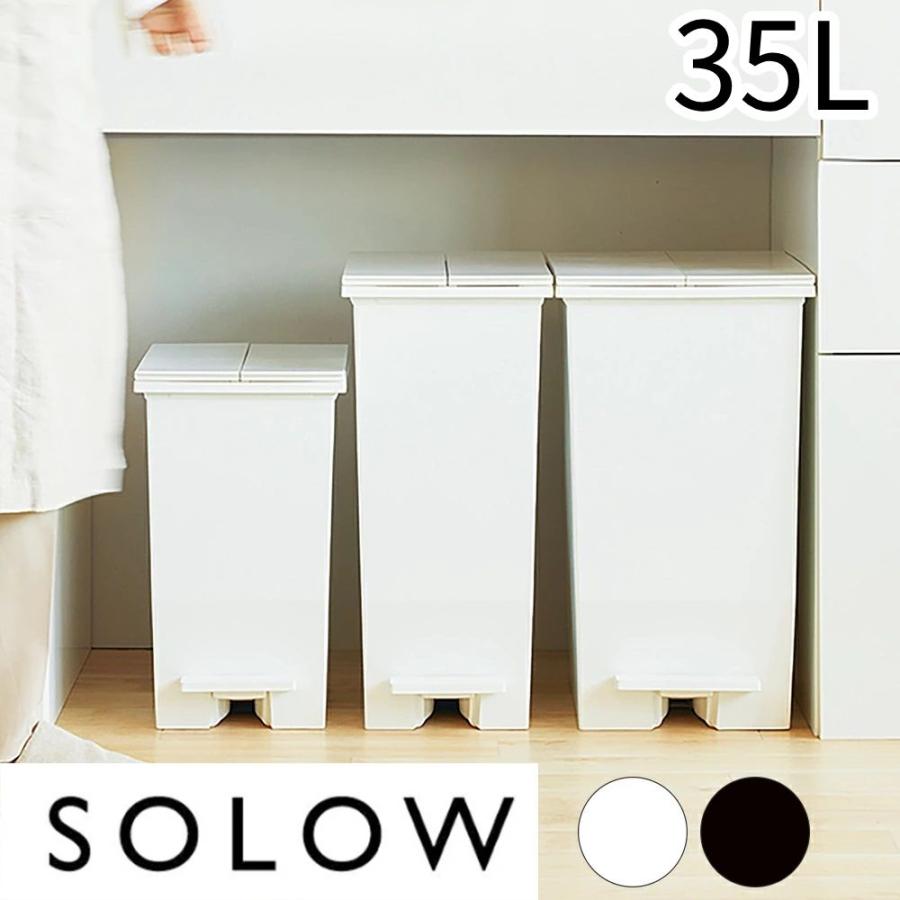 RISU（リス） ゴミ箱 35リットル ダストボックス 分別 スリム 大容量