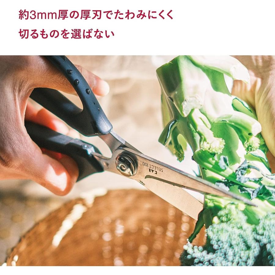 貝印 キッチンはさみ KAI DH3005 ステンレス キッチンバサミ キッチン
