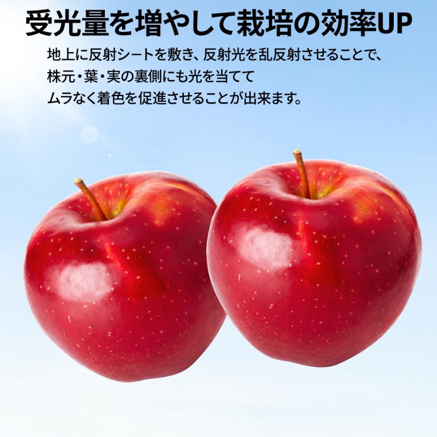 反射フィルム 農業用 反射シート 光合成促進 特大 100m×1.2m 植物栽培 