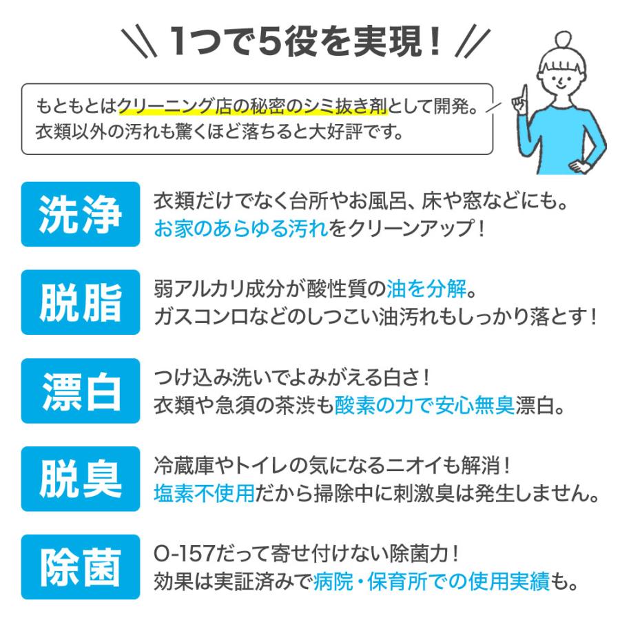 きれいッ粉 1kg 多用途洗浄剤 きれいっ粉 日本製 過炭酸ナトリウム