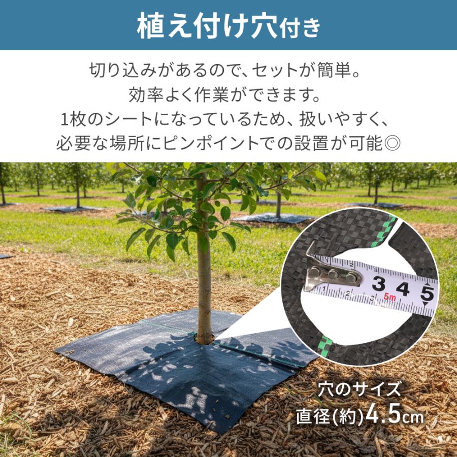 農業用マルチシート 幅60cm 防草シート 穴あき 農業用マルチ 除草 