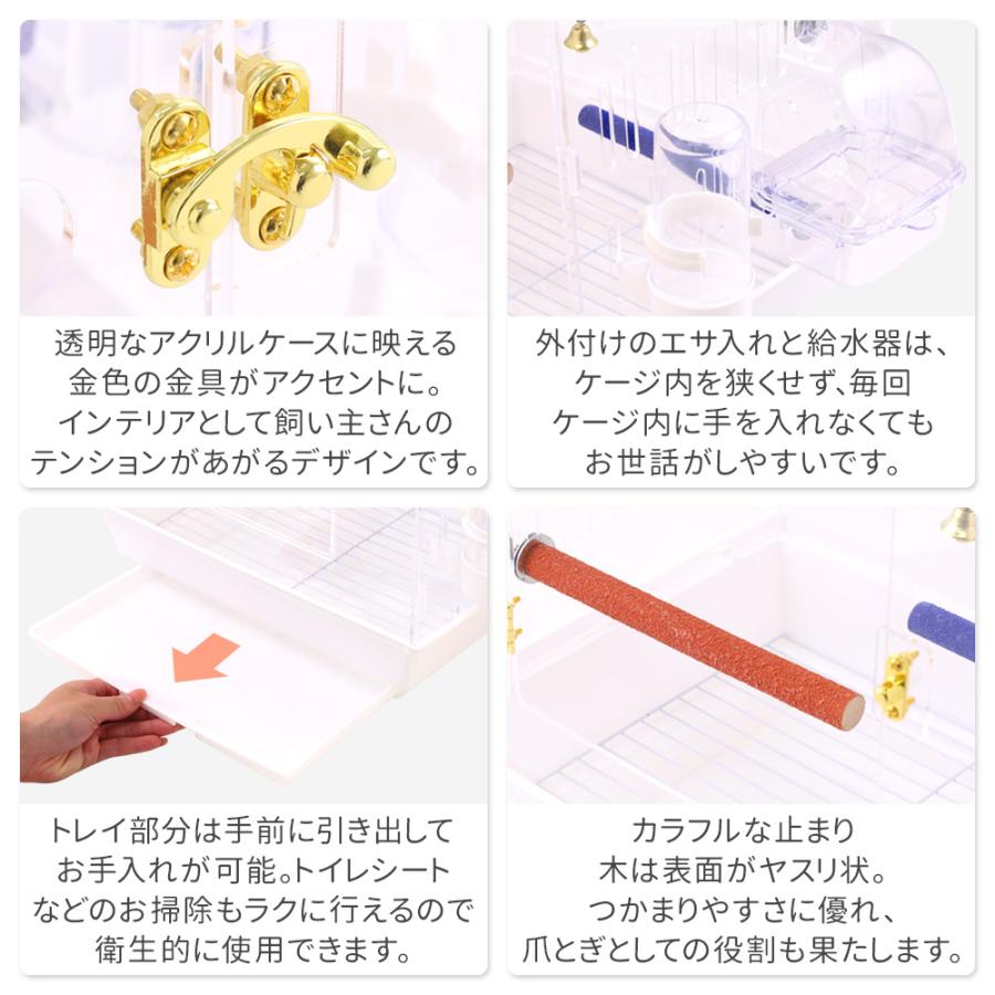 鳥かご ケージ クリア 小型 おしゃれ 鳥籠 鳥小屋 バードケージ 底網