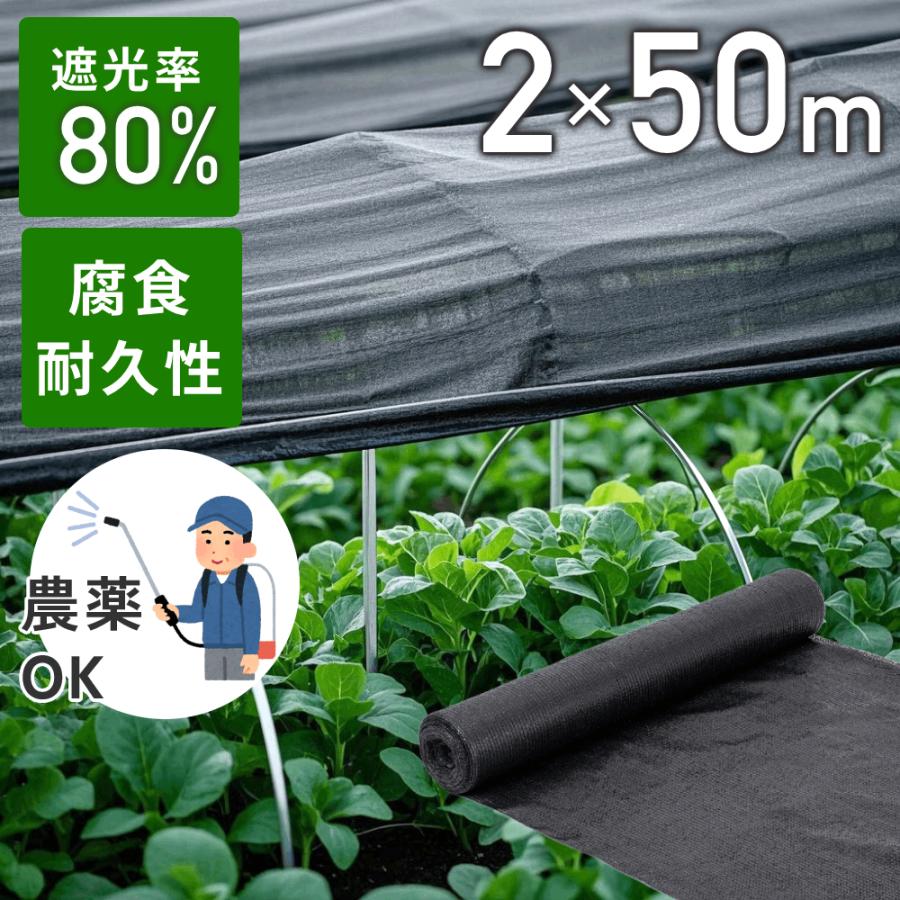 「お値下げ致しました」農業用遮光ネット(ネットタイプ) 遮光ネット 農業 遮光率80％ 2×50m 平織 遮熱ネット 遮光 遮熱