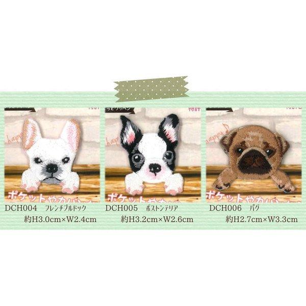 ≪Dogs≫犬のちょこっとワッペンポケットからちょこっと覗いたアイロン
