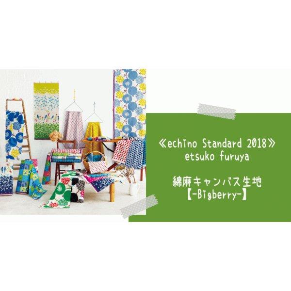 ★≪echino Standard 2018≫etsuko furuya綿麻キャンバス生地【-Bigberry-】生地/布/エチノ/古家悦子さんデザインファブリック/トリ/鳥/アニマルモチーフ/動物｜atto-hobby｜06