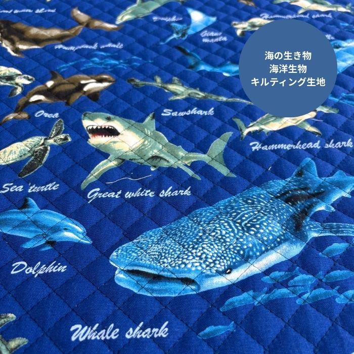 1234abcd★海の生き物、サメ柄キルティング☆ 海の生き物海洋生物柄キルティング生地/海の生き物がたくさんプリント