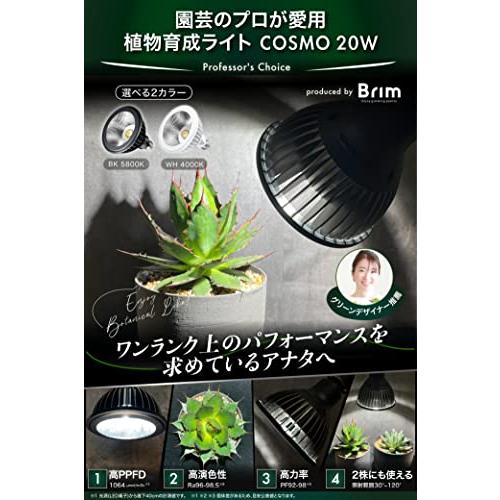 植物育成ライトLED BRIM COSMO・HAS38SPEC9 4個セット売り 楽天市場】BRIM(ブリム) 公式店 グリーンアドバイザー推薦 BRIM