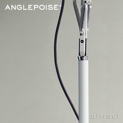 ANGLEPOISE アングルポイズ オリジナル 1227 & ミニ専用 ANGLEPOISE アングルポイズ オリジナル 1227 & ミニ専用