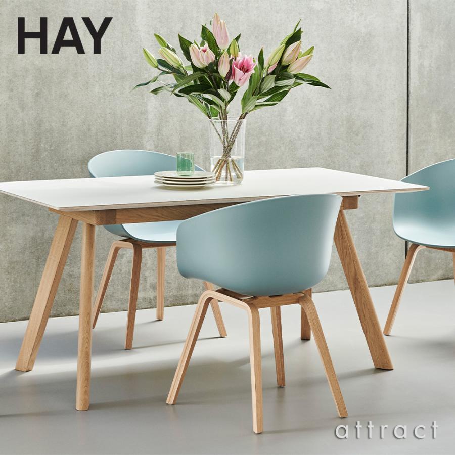 HAY ヘイ About A Chair アバウト ア チェア AAC 22 ver 2.0 HAY ヘイ About A Chair アバウト ア チェア AAC 22 ver 2.0