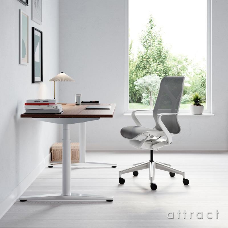 Herman Miller（ハーマンミラー） コズムチェア ローバック キャニオン 