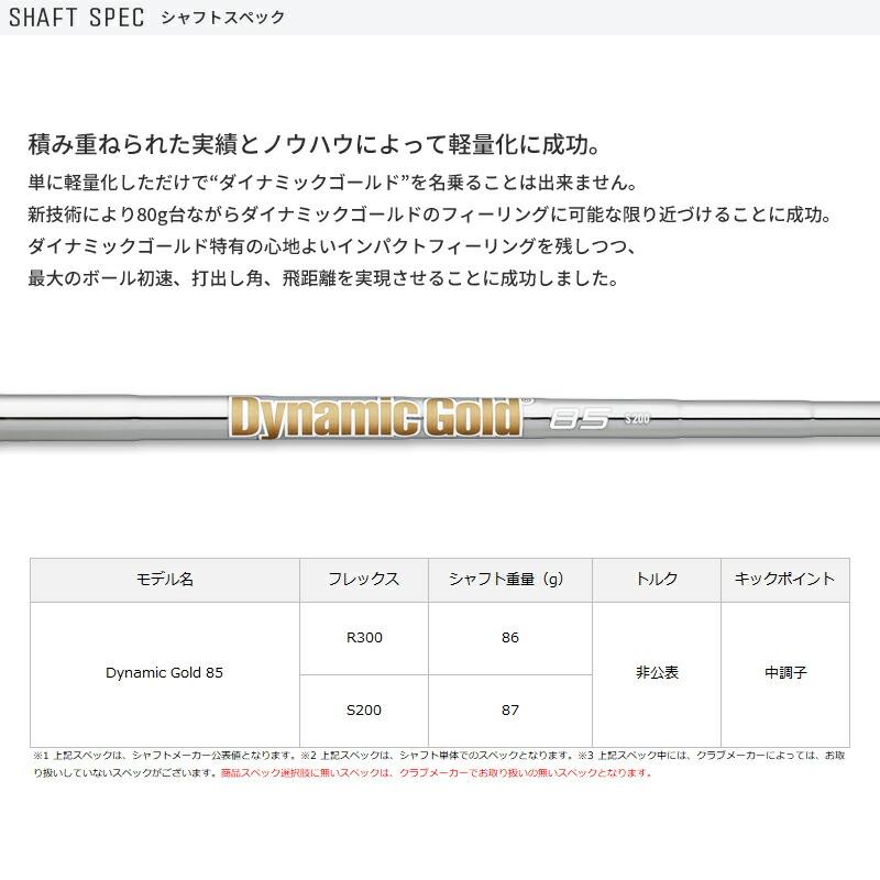 ZXi カスタム スリクソン ZXi5 アイアン 2024 6本セット ダイナミック 