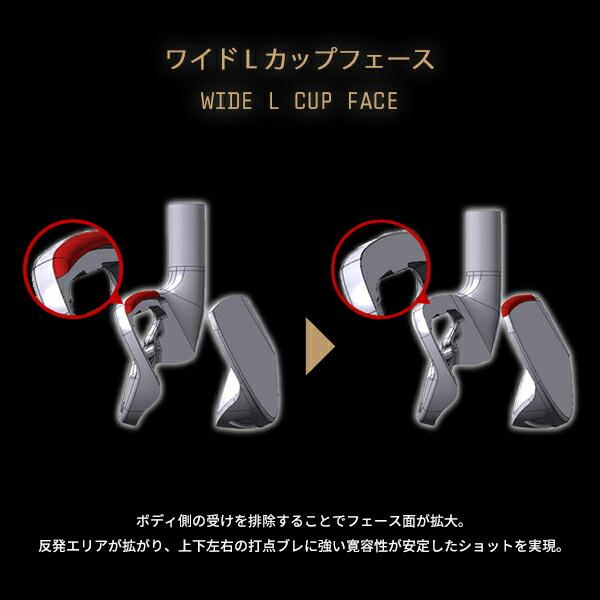 BERES 受注生産ホンマゴルフ ベレス S-09 アイアン ブラック 2024 5本