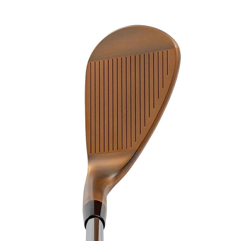 Dolphin Wedge - 【取寄】 2本仕かける キャスコ ドルフィンウェッジ DW-123 銅メッキ DP-231 炭素矢がら DOLPHIN DW123 カッ基準打数 DP231