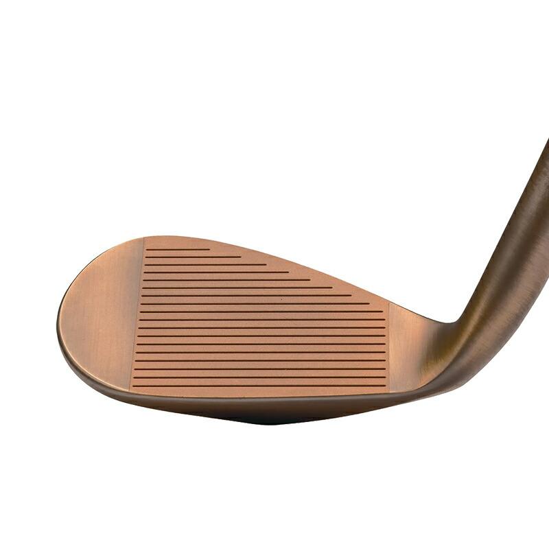 Dolphin Wedge - 【取寄】 2本仕かける キャスコ ドルフィンウェッジ DW-123 銅メッキ DP-231 炭素矢がら DOLPHIN DW123 カッ基準打数 DP231