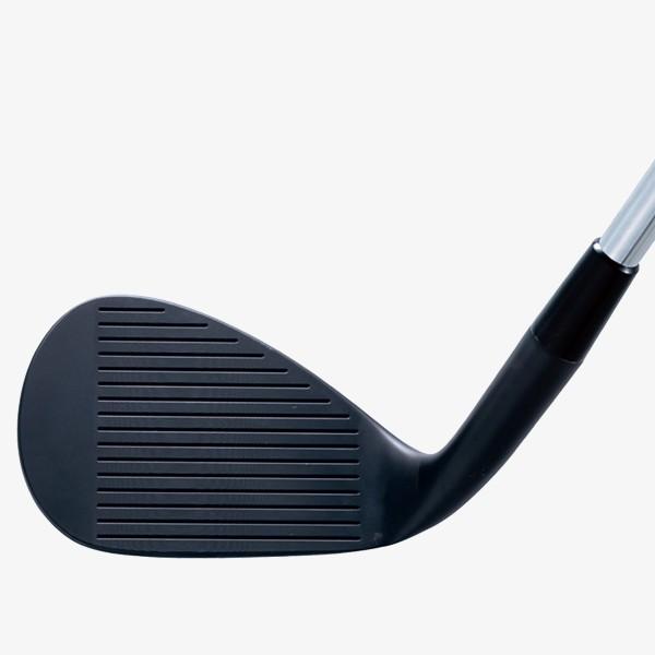 【2本セット】キャスコ ドルフィンウェッジ DW-120G ノーメッキ ブラックQPQ仕上げ N.S.PRO950GH neo シャフト装着仕様#DOLPHIN#DW120Gシルバー#NSプロ950GHネオ DW 120G キャスコ ノーメッキ ブラックQPQ仕上げ