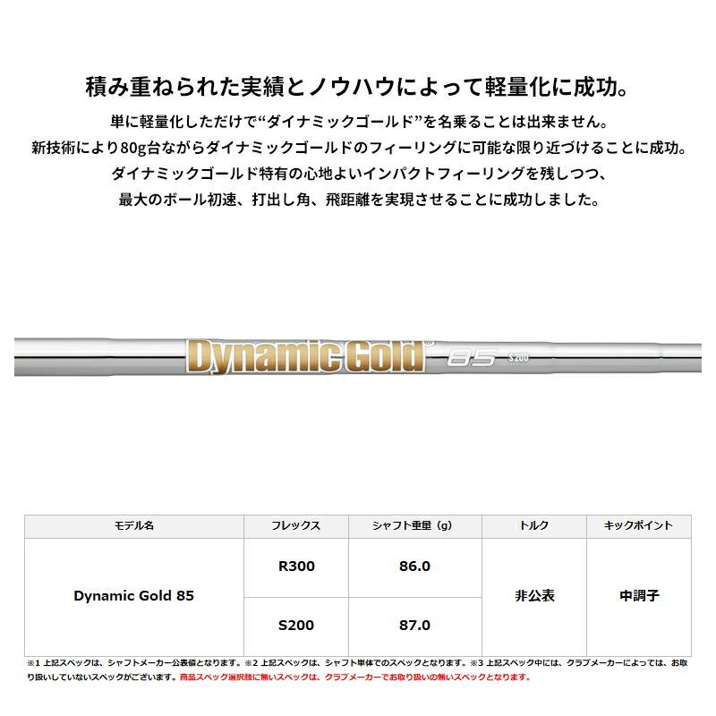 ZXi カスタム ダンロップ スリクソン ZXi5 単品アイアン ダイナミック