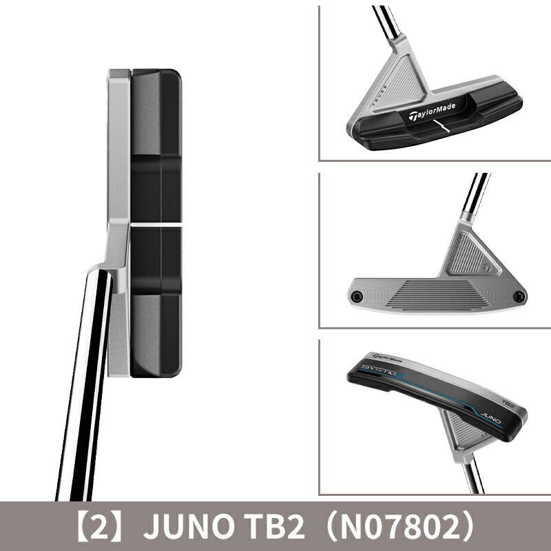TaylorMade（テーラーメイド） 【即納】 右打用 システム2 トラス