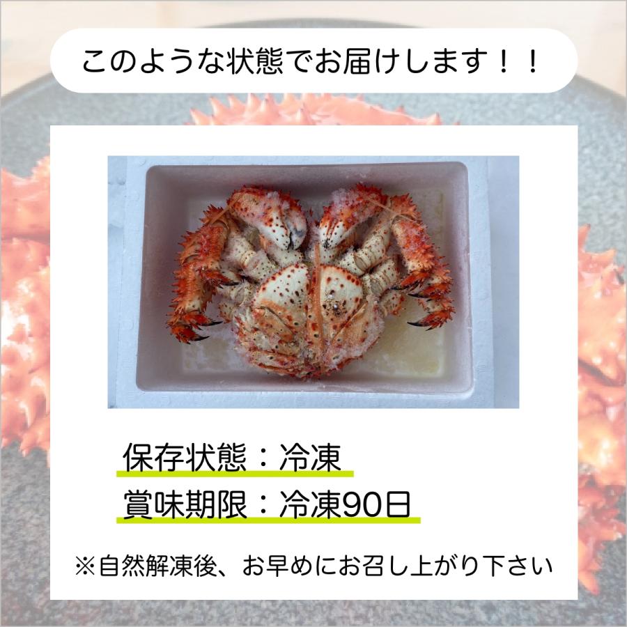 北海道産 花咲ガニ 1kg前後 オス 花咲がに 花咲蟹 はなさきがに カニ かに 蟹 kani 北海道産 北海道グルメ セット プレゼント ギフト 記念日｜atumaru-suisan｜05