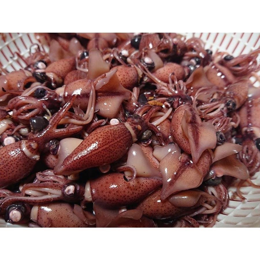 超人気 ホタルイカ 急速冷凍1キロg前後 刺身よし 酢味噌良し 煮て良し 全商品オープニング価格特別価格 Zoetalentsolutions Com