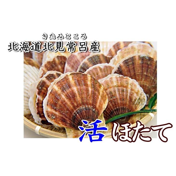 安心の定価販売 北海道産9キロ ホタテ ほたて 帆立 常呂産 活帆立 殻付き 生ホタテ ４５枚 ８０枚前後サイズ混合 超目玉 Zoetalentsolutions Com