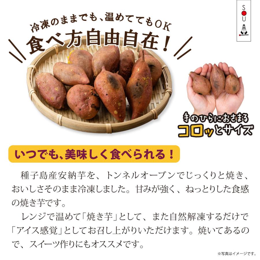 種子島産安納芋MLサイズ20kg 後藤4 種子島産安納芋MLサイズ20kg 後藤4 種子島産安納芋MLサイズ20kg