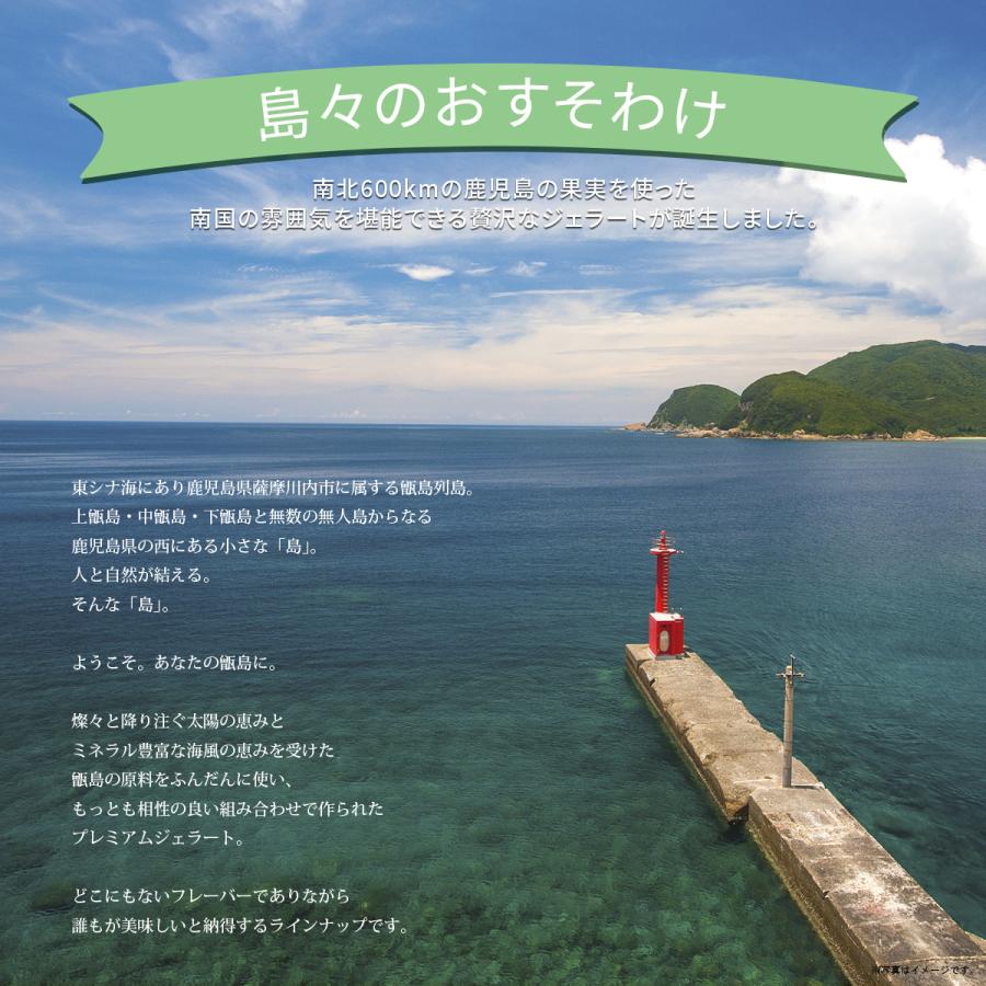 島旅ジェラート(8個) |  | 01